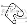 CONTITECH CT529 Timing Belt